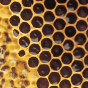 Meet your Posher, Joel